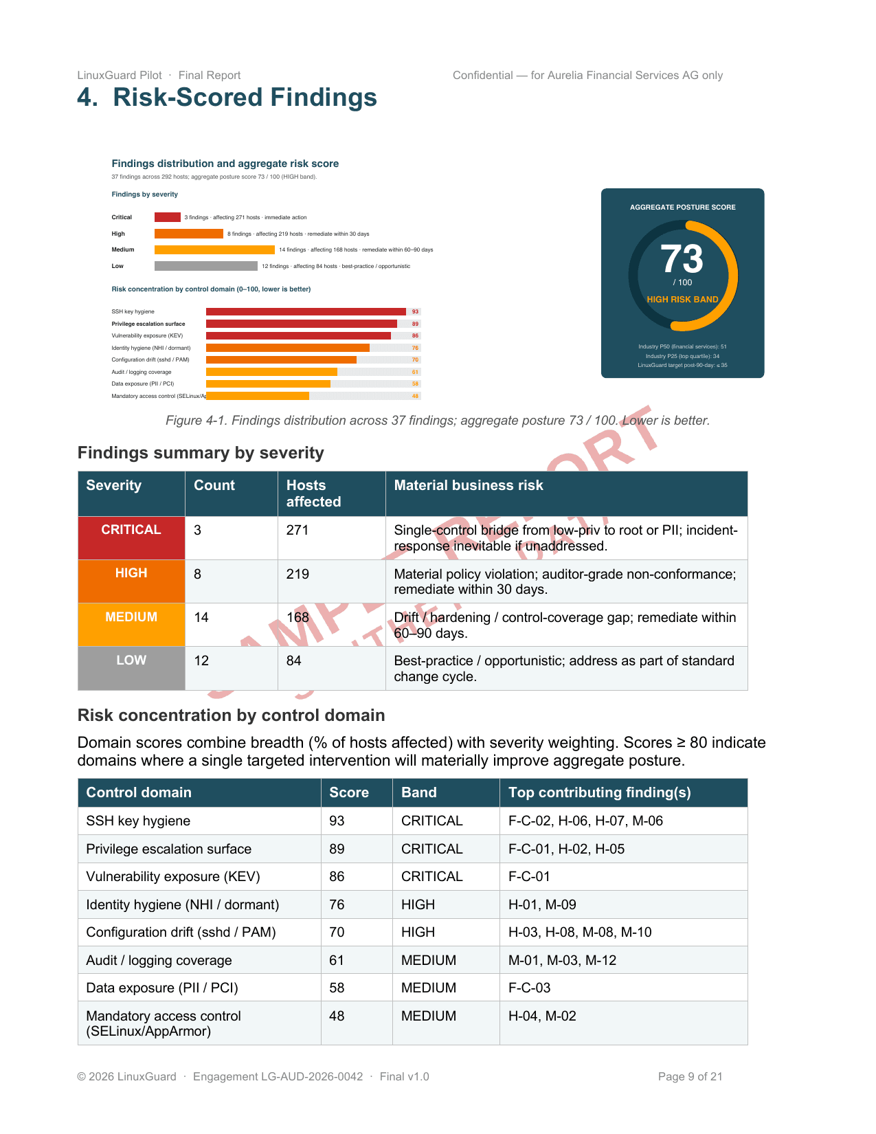 Risk-scored findings summary — severity distribution and control domain breakdown